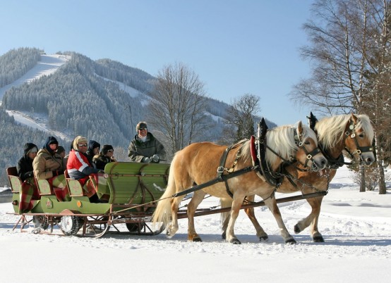 Pferdeschlittenfahrt in Ramsau (© Photo-Austria H. Simonlehner)